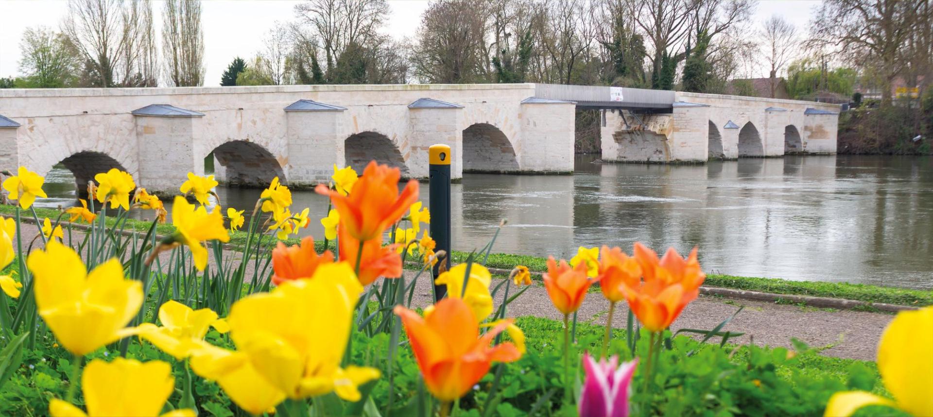 Bannière-site-Vieux-pont-fleurs