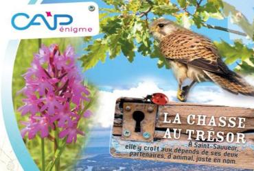 Chasse au trésor St Sauveur