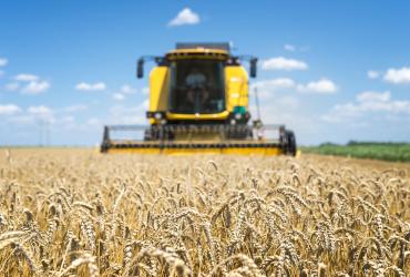 Agriculture